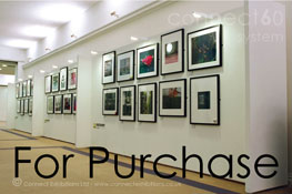 Frame Exhibition Advertising 140x100 from Wall Office Store Agency CRPT 07 
